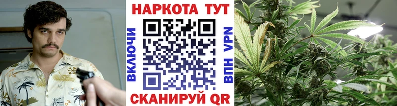 Где купить наркотики Ртищево ГАШИШ  MDMA  МЕФ  ссылка на мегу рабочий сайт  Канабис 