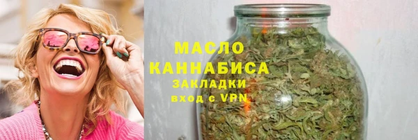 крисы Надым