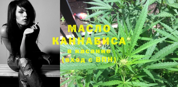 крисы Надым