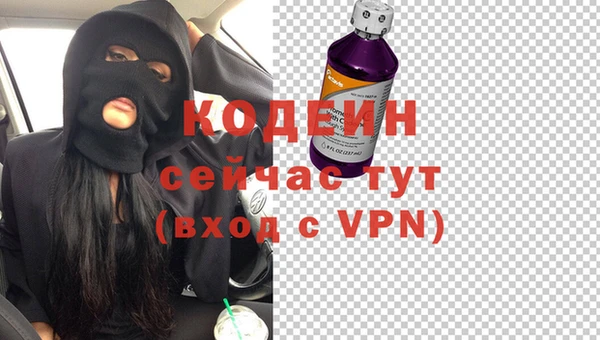 крисы Надым