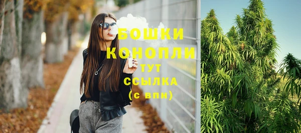 крисы Надым