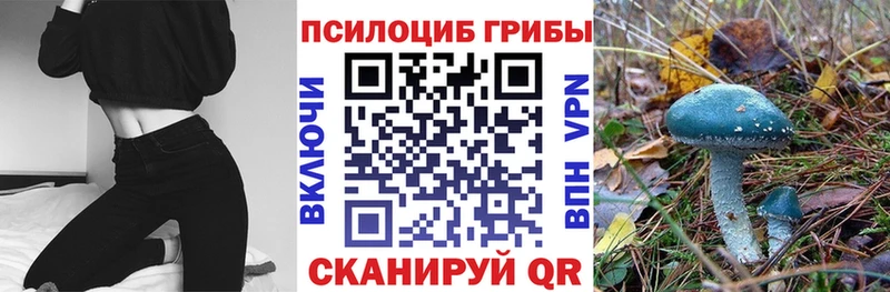 Псилоцибиновые грибы мицелий  Ртищево 