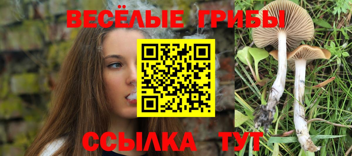 Галлюциногенные грибы Magic Shrooms  Вход с VPN  Ртищево  Псилоцибиновые грибы прущие грибы 