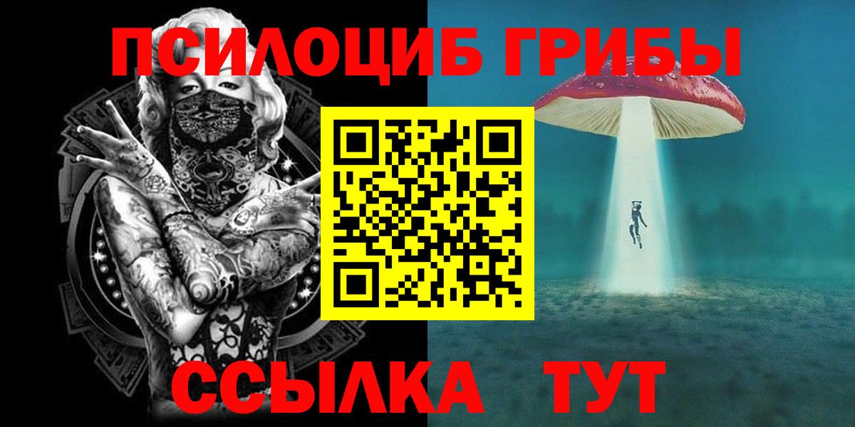 Псилоцибиновые грибы мицелий Ртищево